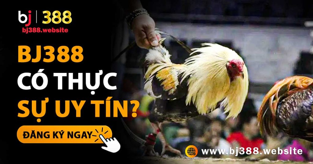 BJ388-co-thuc-su-uy-tin