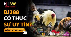 BJ388-co-thuc-su-uy-tin