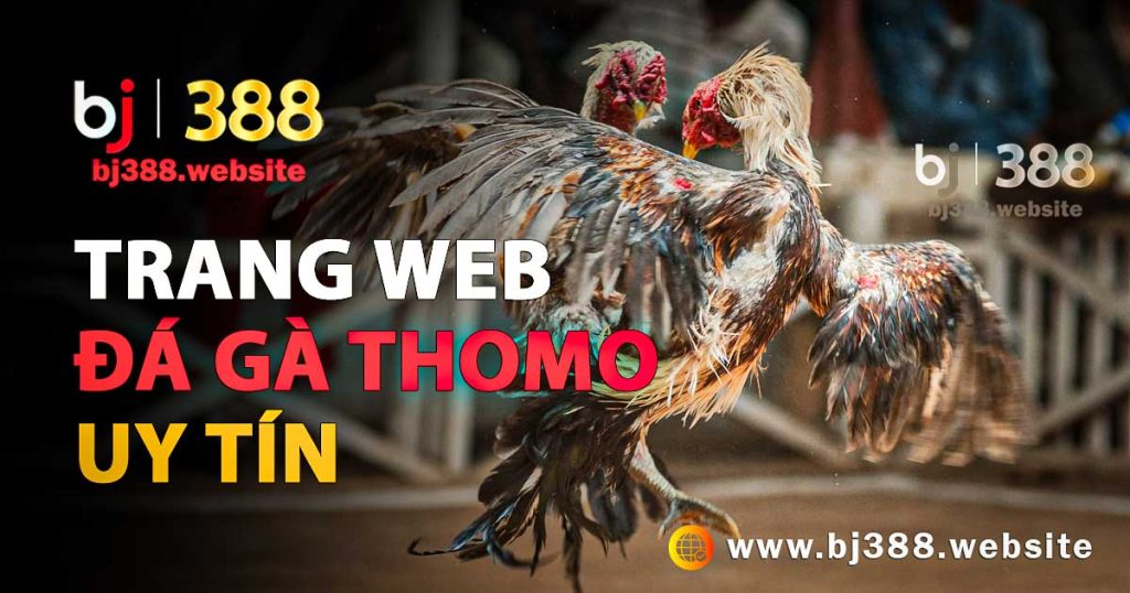 trang-web-da-ga-thomo-uy-tin-bj388